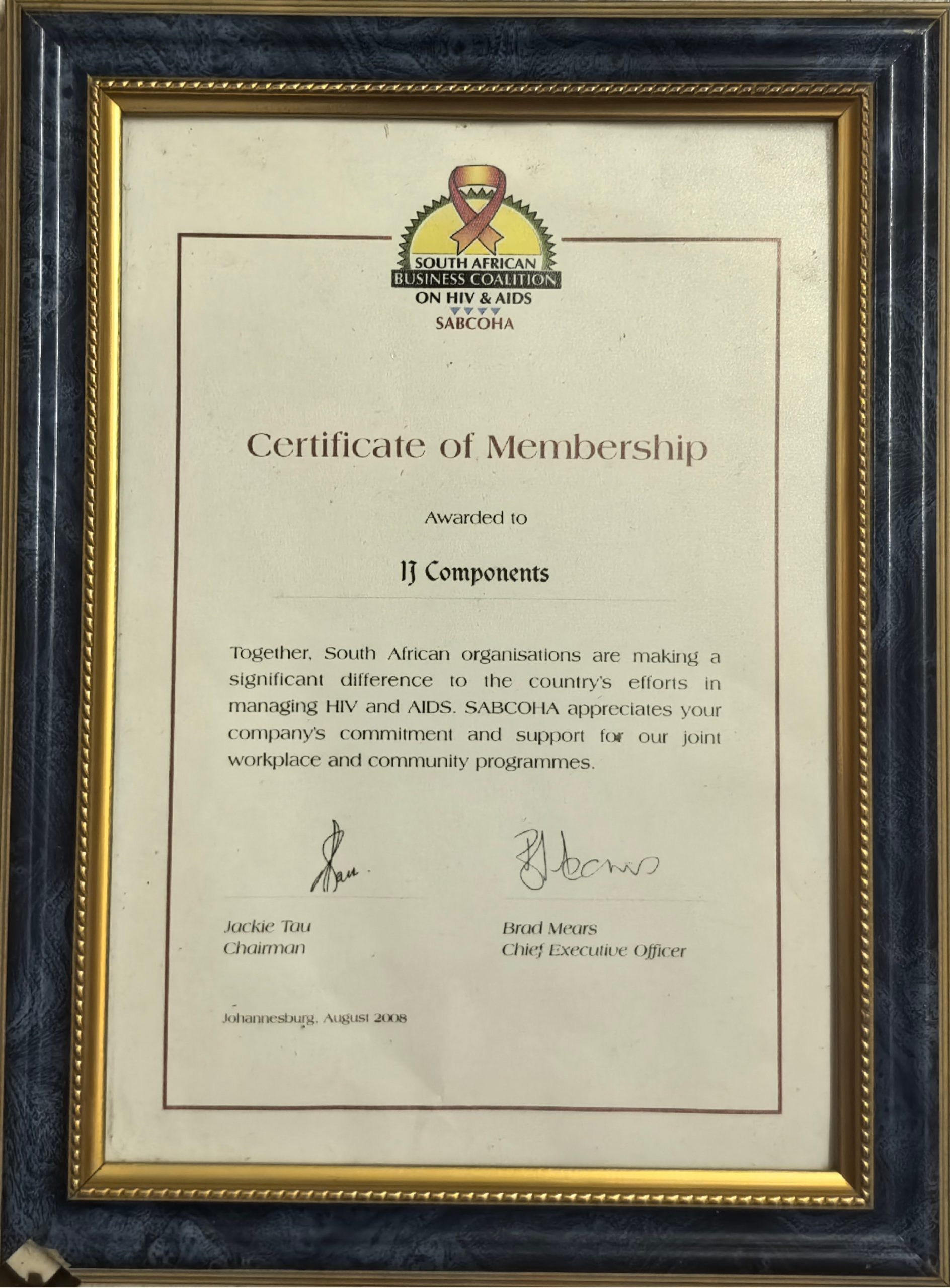 TOYOTA BOSHOKU SOUTH AFRICA 2017 Delivery Award - Bronze